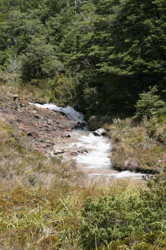 Nieuw-Zeeland 2011 - 0845
